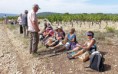 /album/a2015-09-vaison-la-romaine/a80-cornuds-14-jpg/